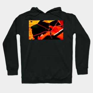 Burning Maple Hoodie